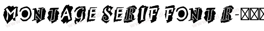 Montage Serif Font R字体转换